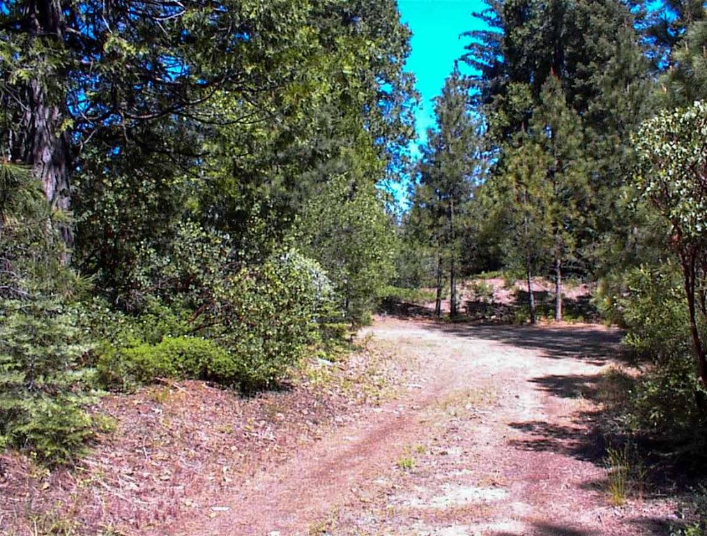 50010 Highway 180, Miramonte, CA 93641