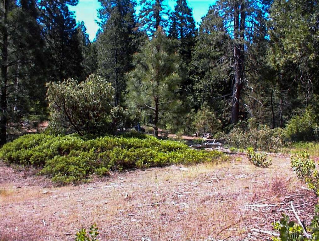 50010 Highway 180, Miramonte, CA 93641