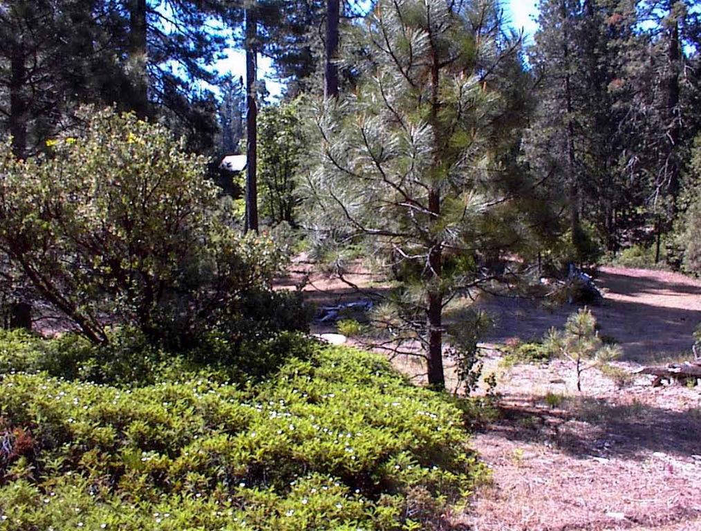 50010 Highway 180, Miramonte, CA 93641