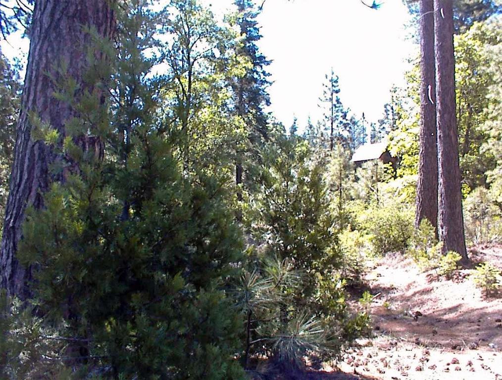 50010 Highway 180, Miramonte, CA 93641