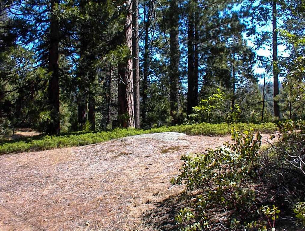 50010 Highway 180, Miramonte, CA 93641