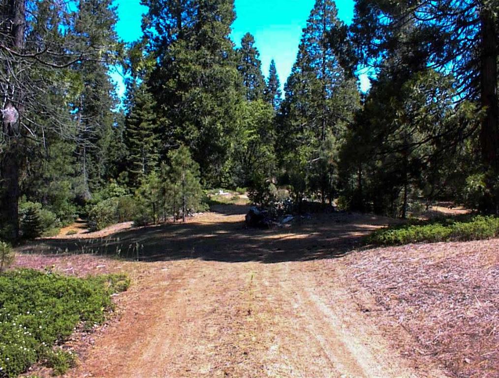 50010 Highway 180, Miramonte, CA 93641