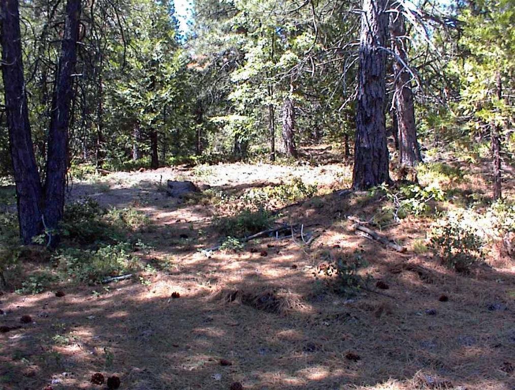 49995 Highway 180, Miramonte, CA 93641