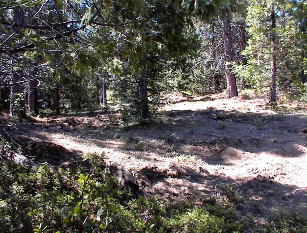 49995 Highway 180, Miramonte, CA 93641