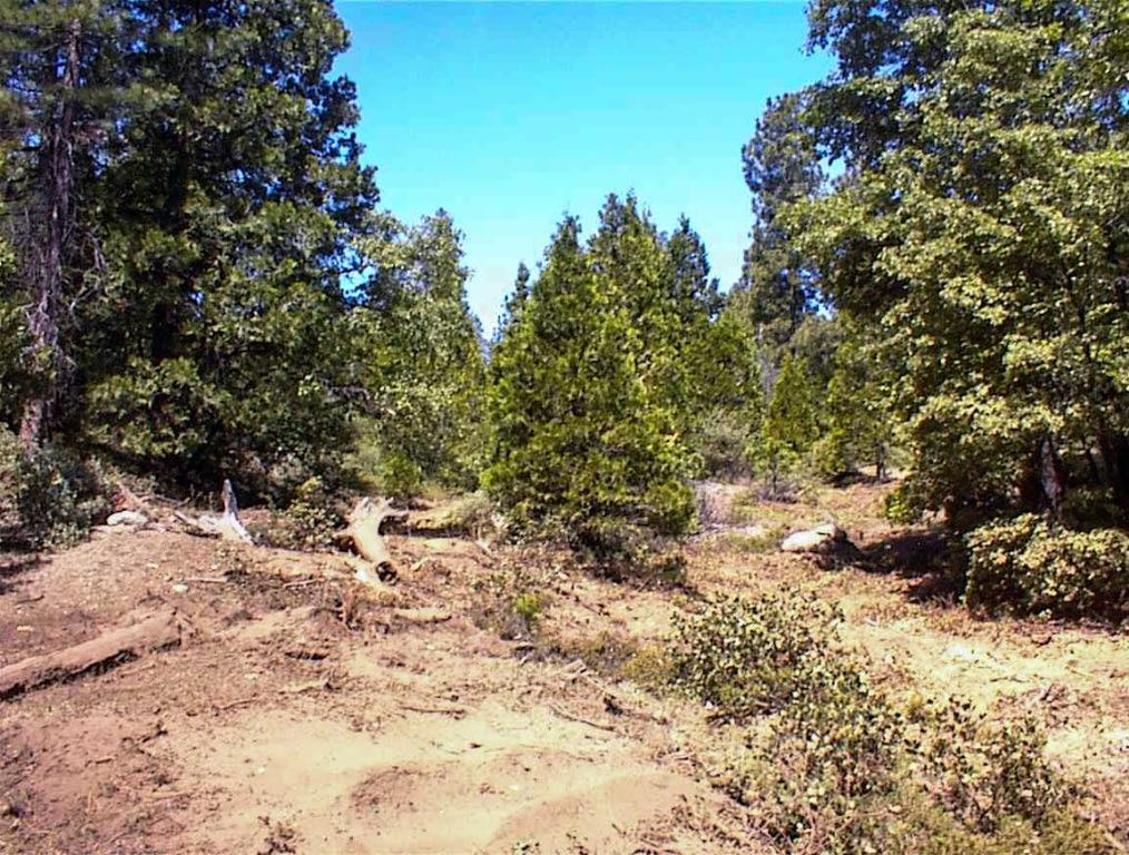 49995 Highway 180, Miramonte, CA 93641