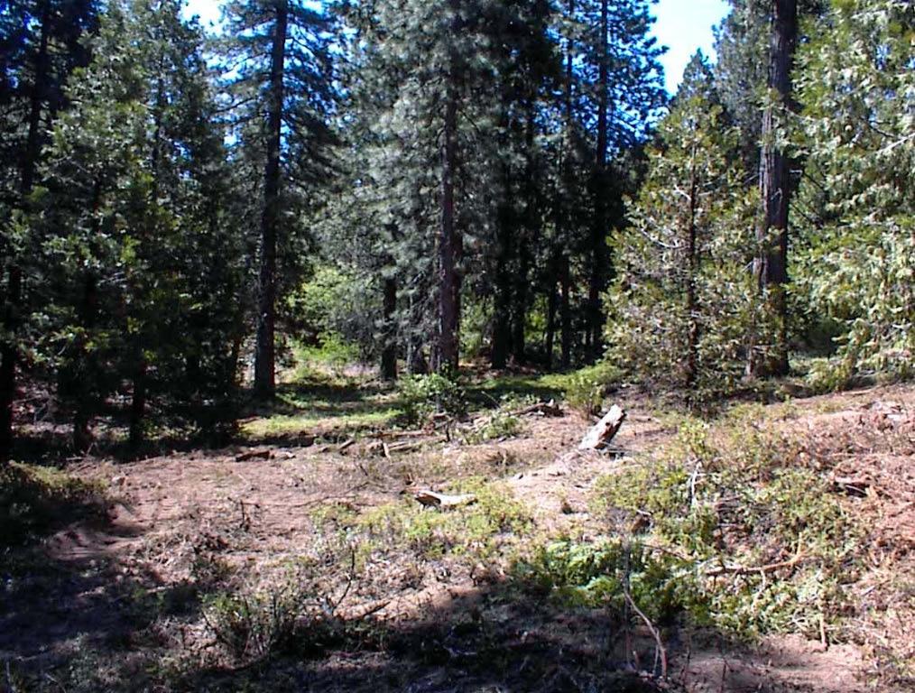 49995 Highway 180, Miramonte, CA 93641