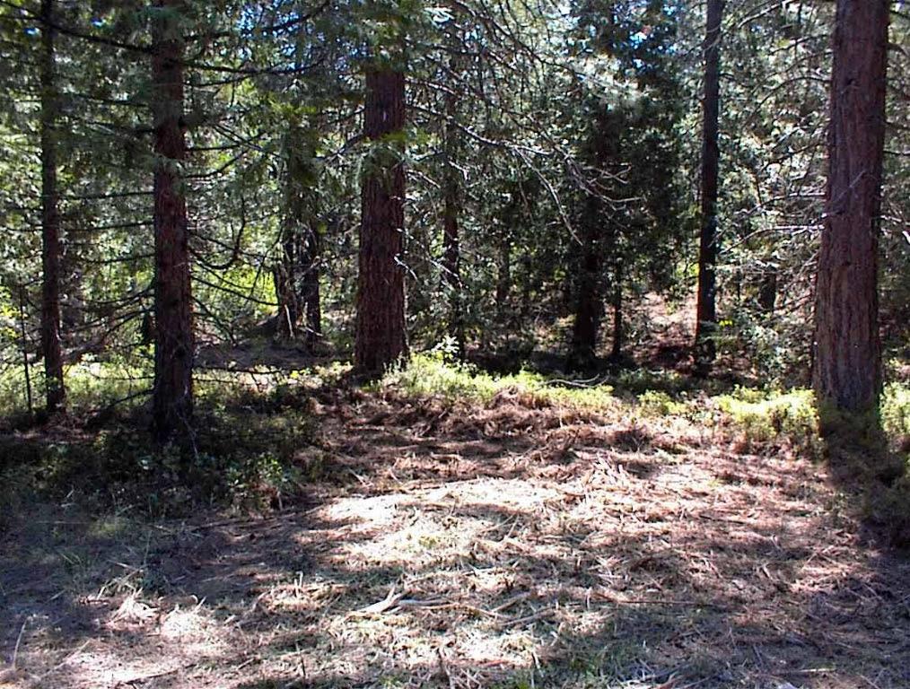 49995 Highway 180, Miramonte, CA 93641