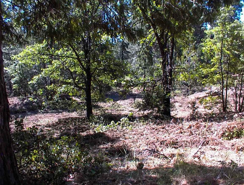 49995 Highway 180, Miramonte, CA 93641