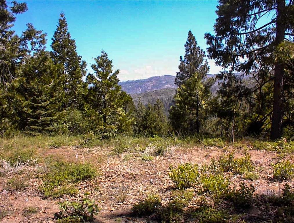 49995 Highway 180, Miramonte, CA 93641