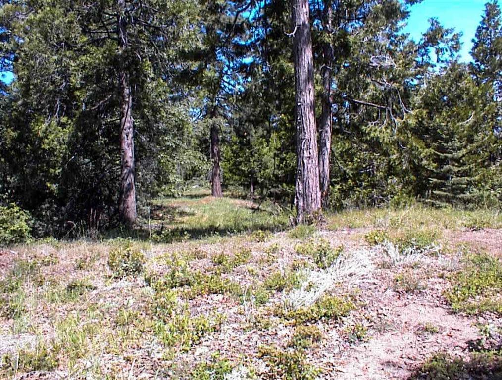 49995 Highway 180, Miramonte, CA 93641