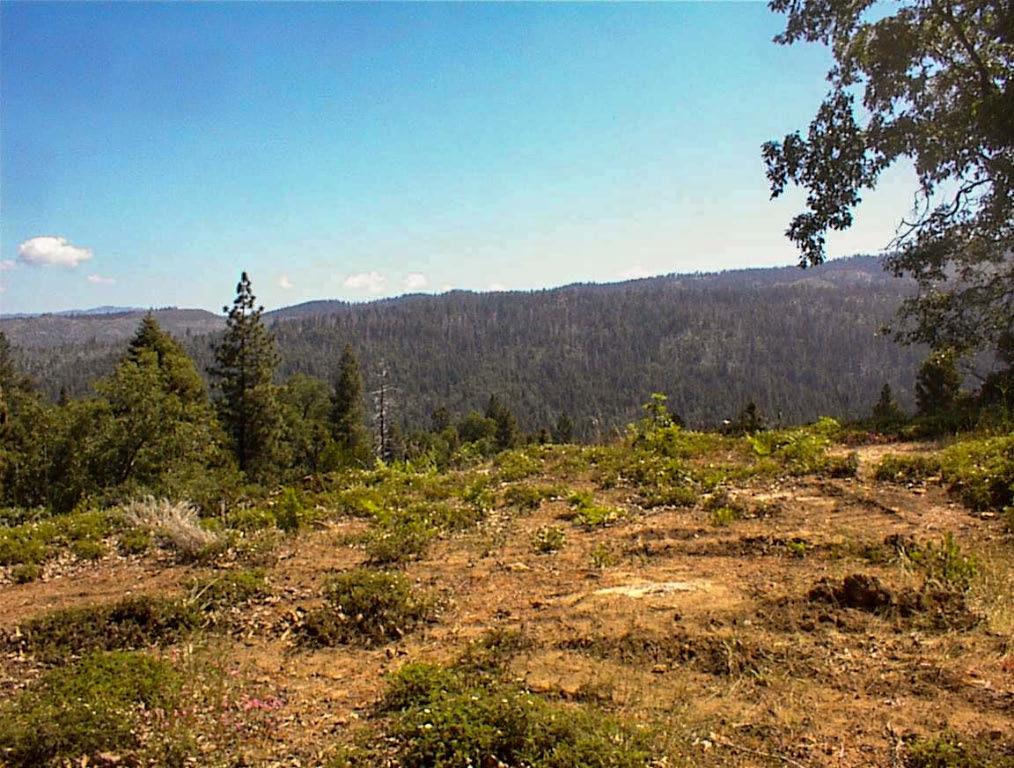 49995 Highway 180, Miramonte, CA 93641