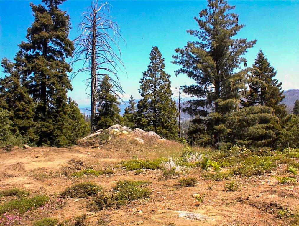 49995 Highway 180, Miramonte, CA 93641