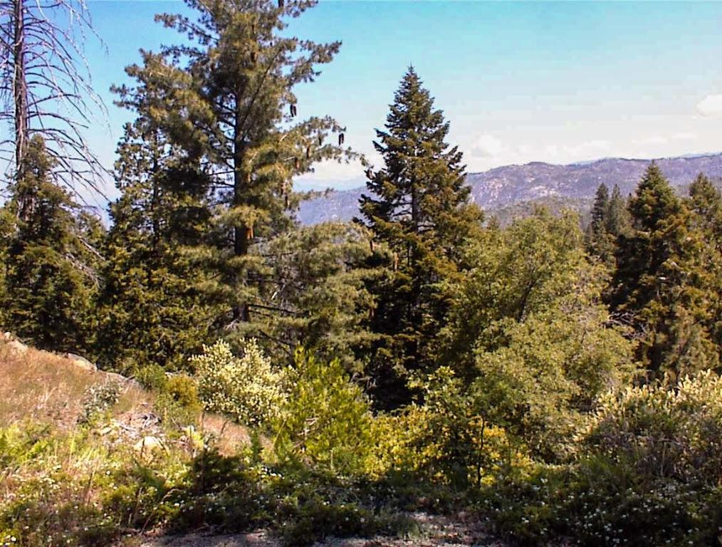 49995 Highway 180, Miramonte, CA 93641