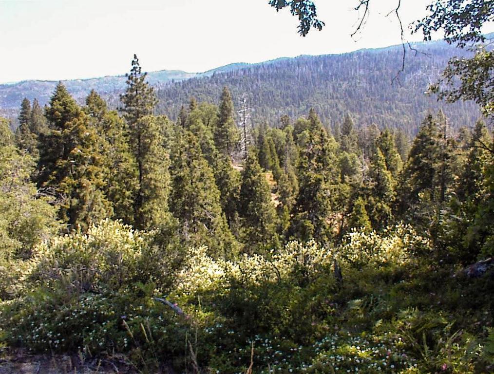 49995 Highway 180, Miramonte, CA 93641