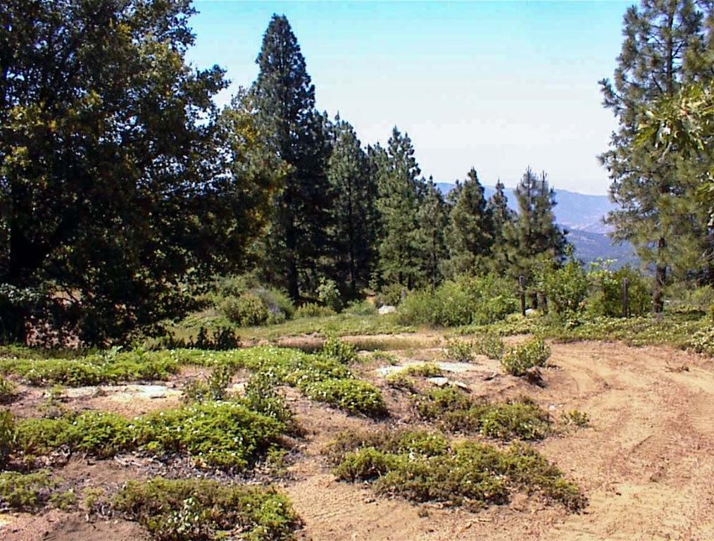 49995 Highway 180, Miramonte, CA 93641