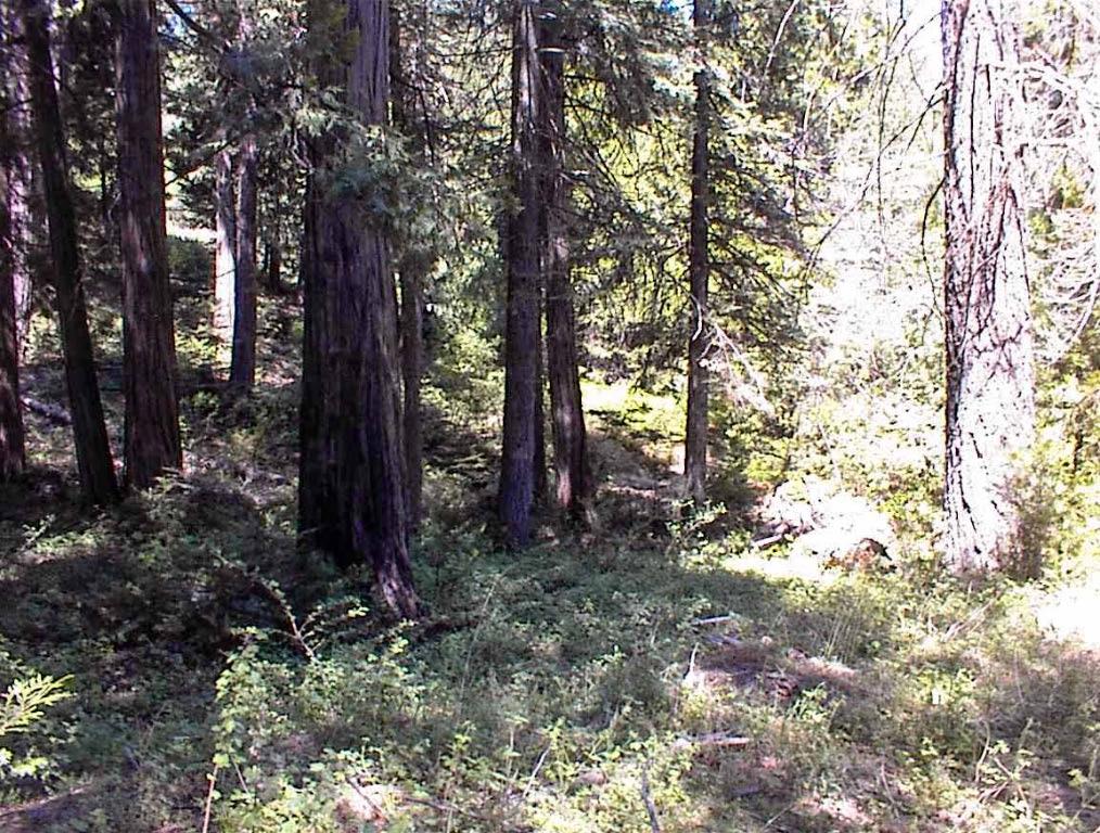 49995 Highway 180, Miramonte, CA 93641