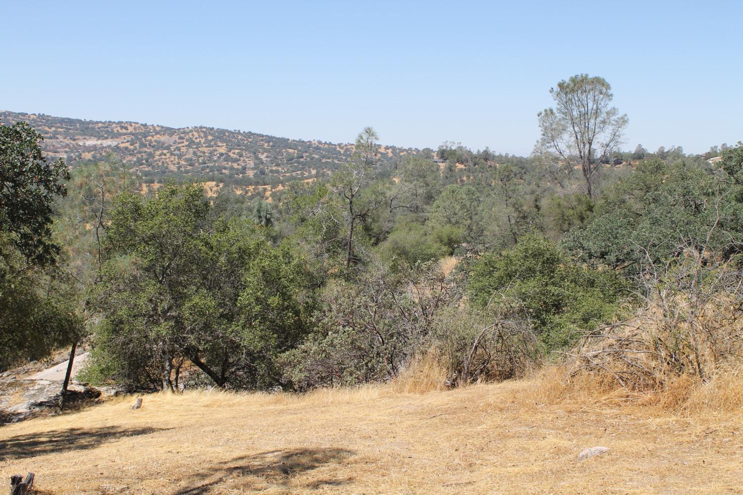 0 0 Deep Forest Dr, Coarsegold, CA 93614