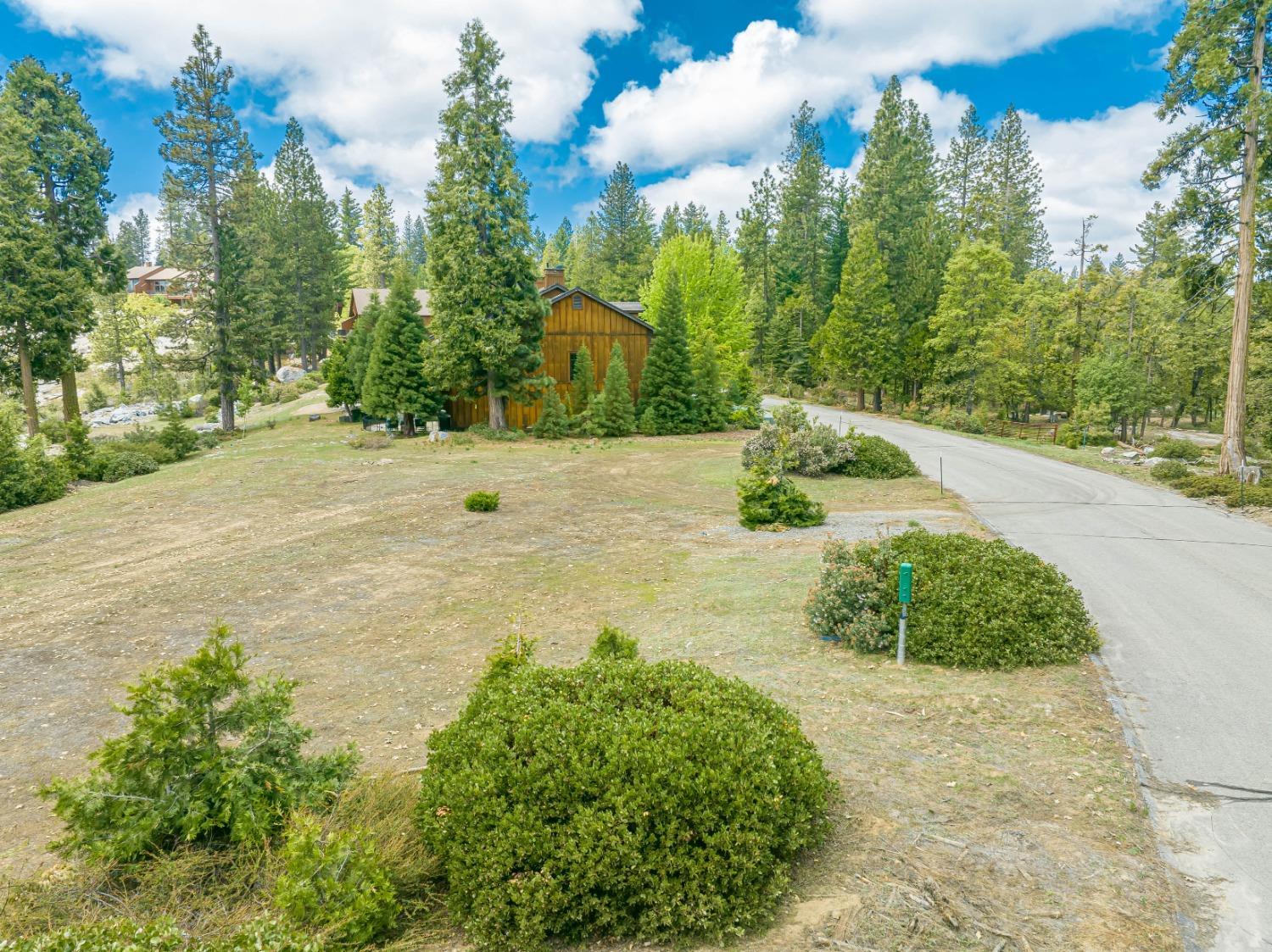 42096 Majestic Ln, Shaver Lake, CA 93664