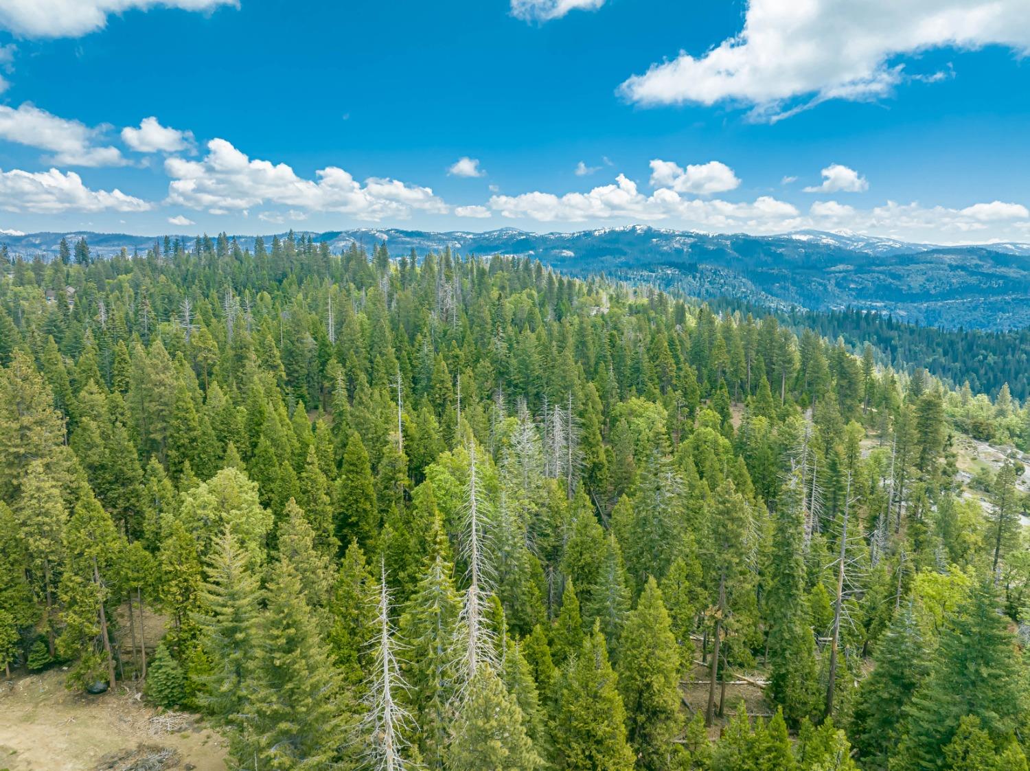 42096 Majestic Ln, Shaver Lake, CA 93664