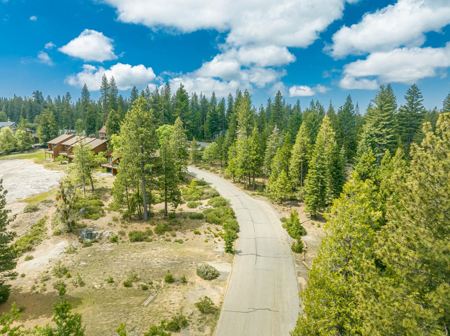 42096 Majestic Ln, Shaver Lake, CA 93664