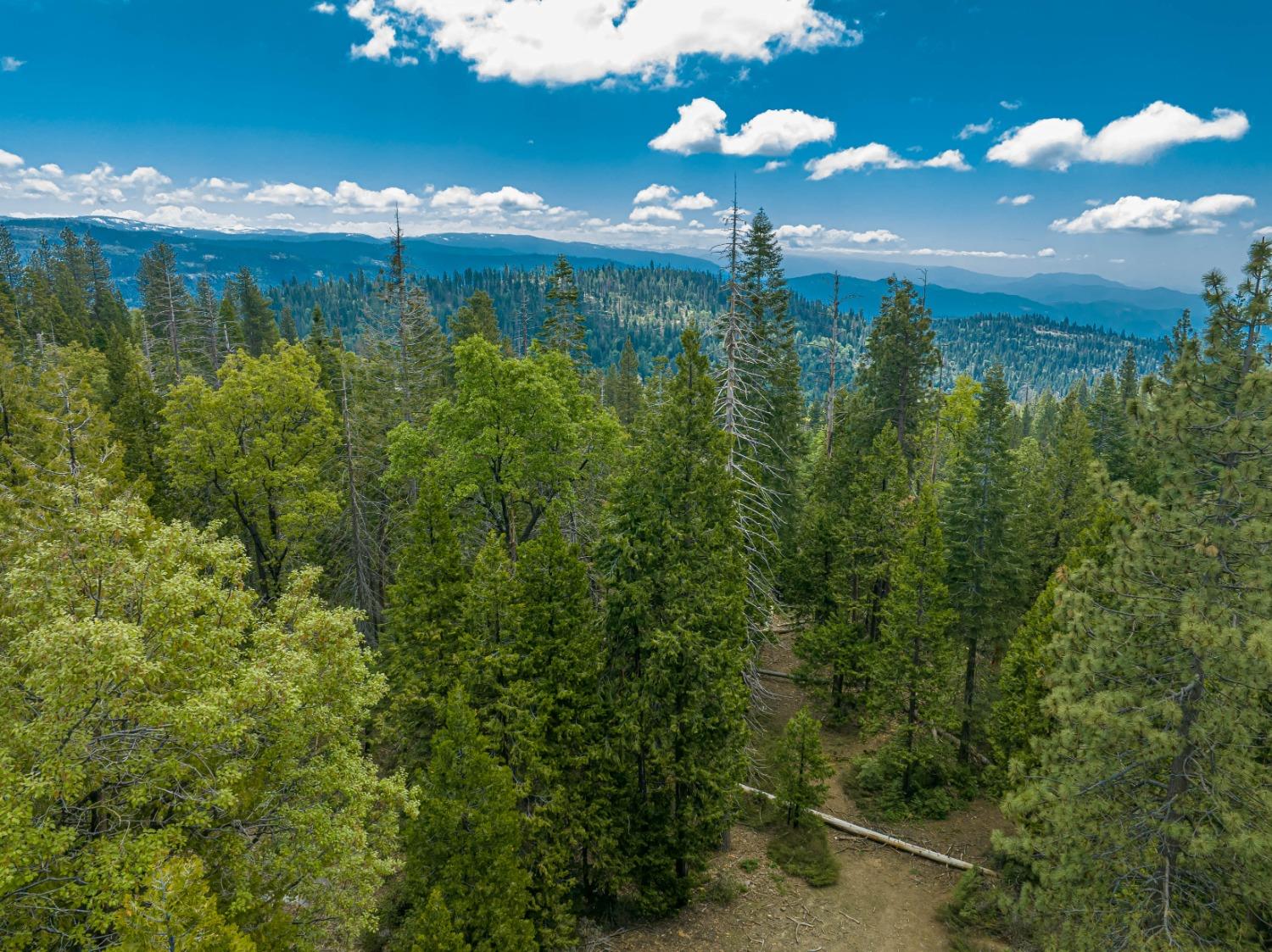 42096 Majestic Ln, Shaver Lake, CA 93664