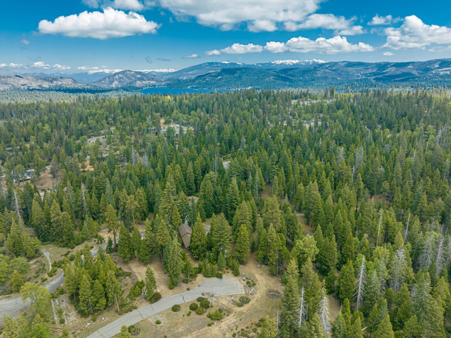 42096 Majestic Ln, Shaver Lake, CA 93664
