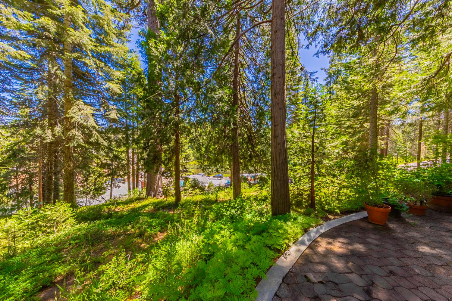 1174 Railroad, Fish Camp, CA 93623