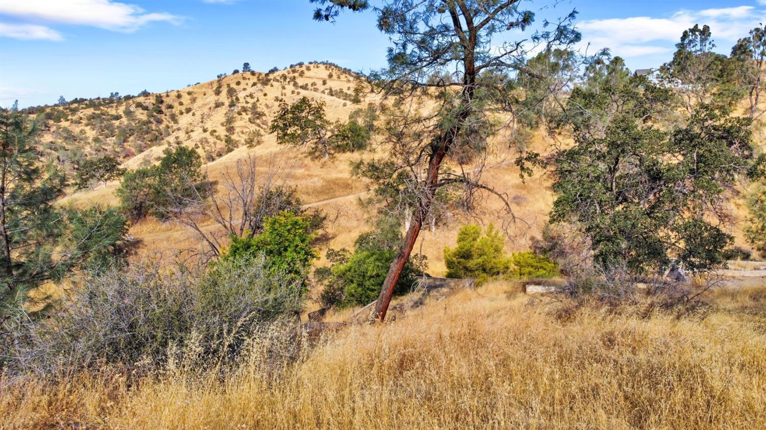 9999 Balboa Ct, Friant, CA 93626