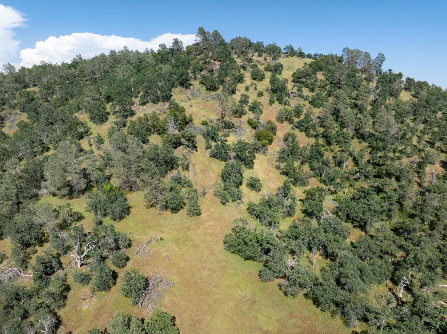 40 City View, Coarsegold, CA 93614