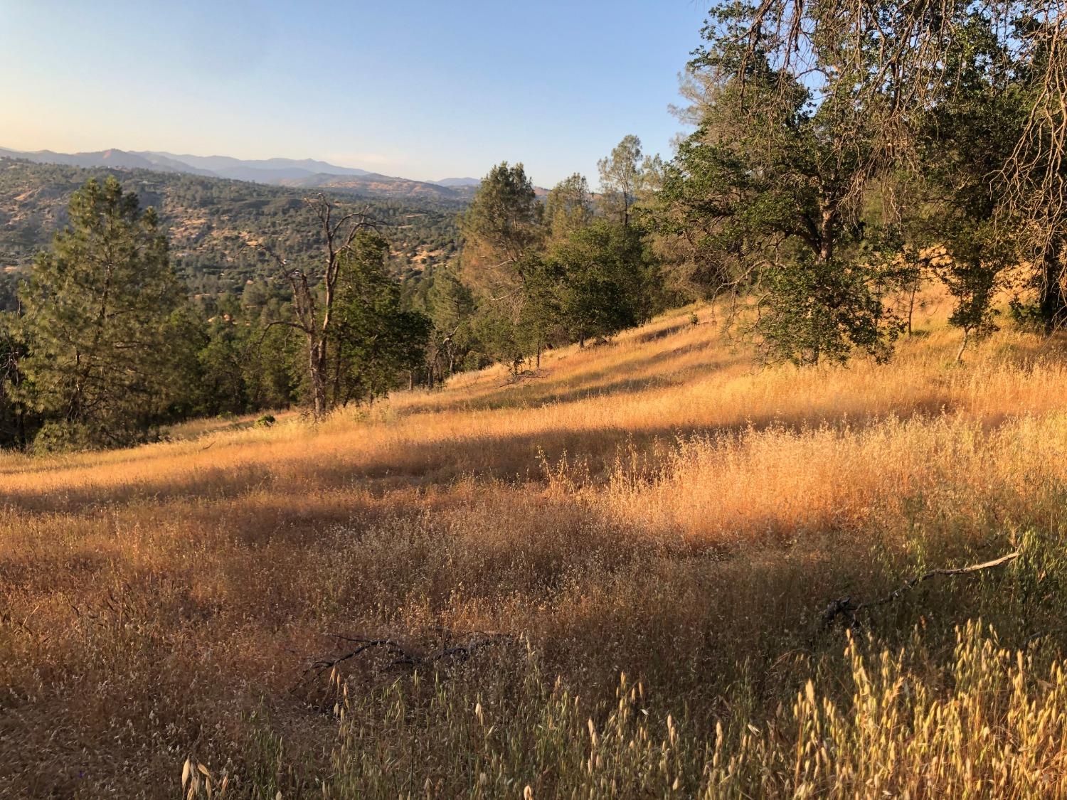 40 City View, Coarsegold, CA 93614