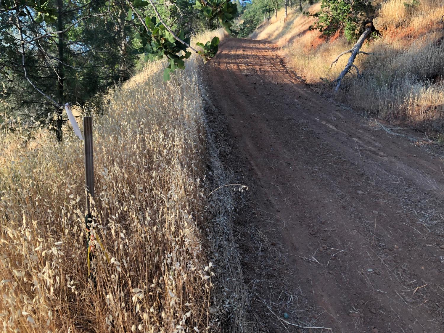 40 City View, Coarsegold, CA 93614