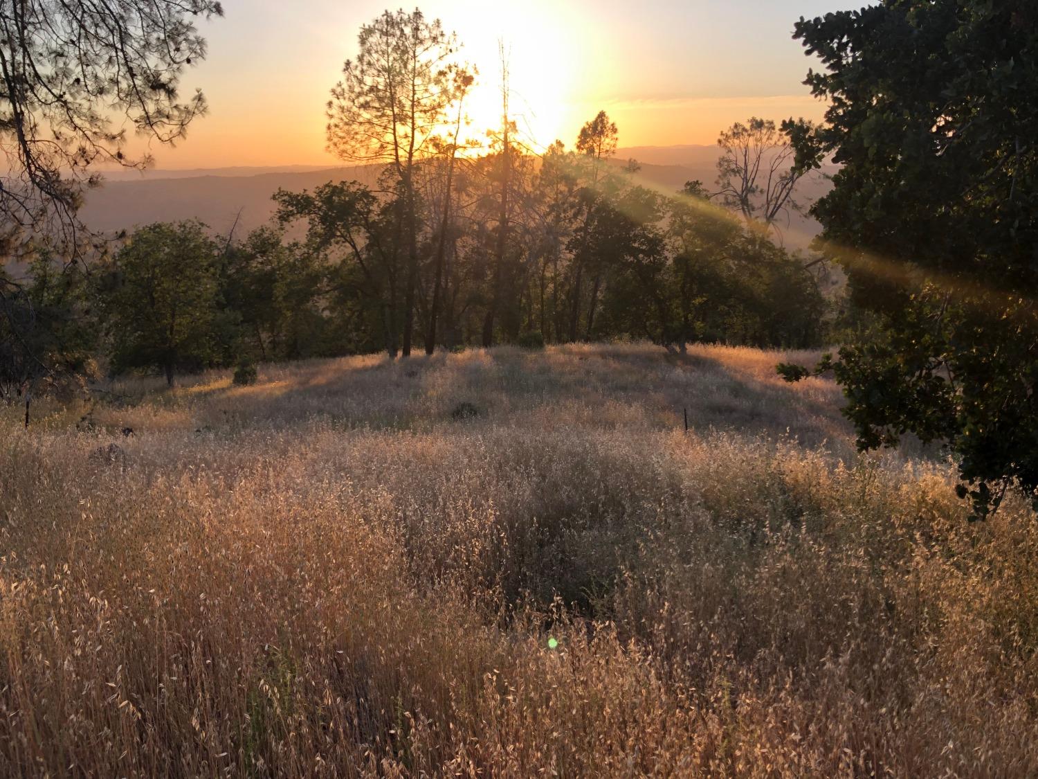 40 City View, Coarsegold, CA 93614