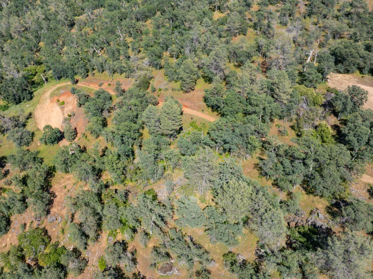 40 City View, Coarsegold, CA 93614