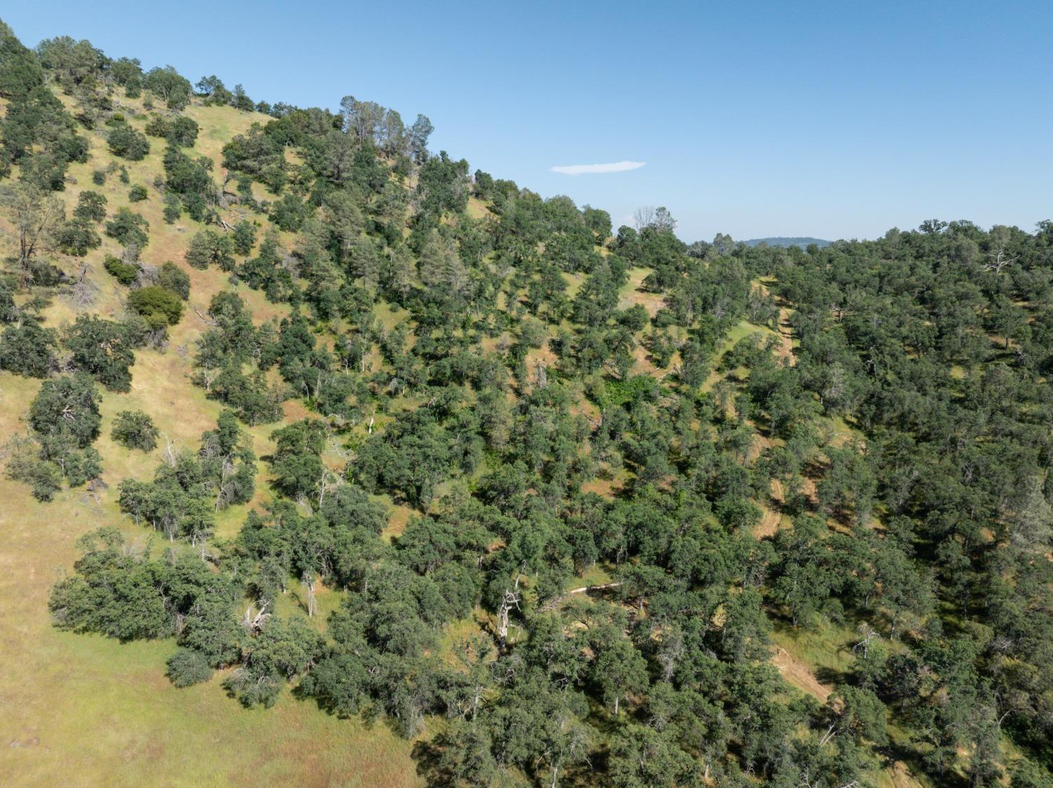 40 City View, Coarsegold, CA 93614