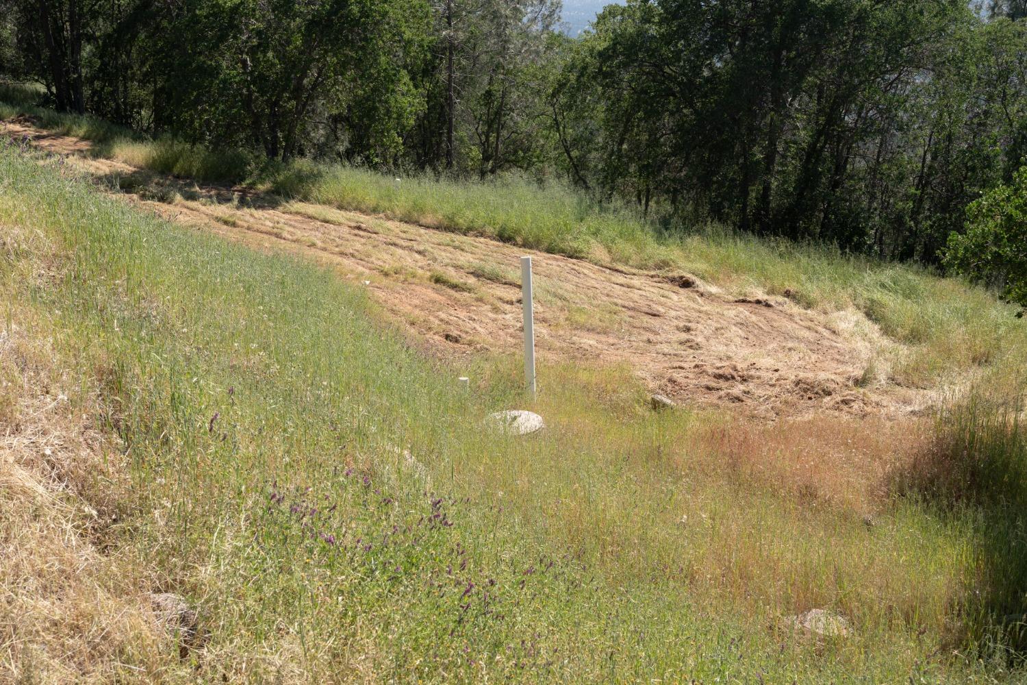 40 City View, Coarsegold, CA 93614