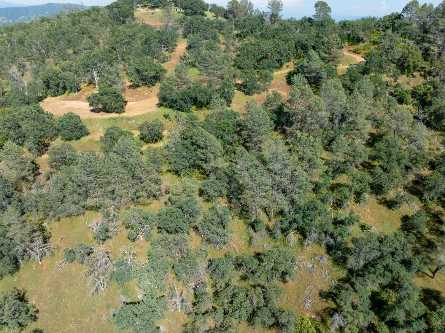 80 City View, Coarsegold, CA 93614