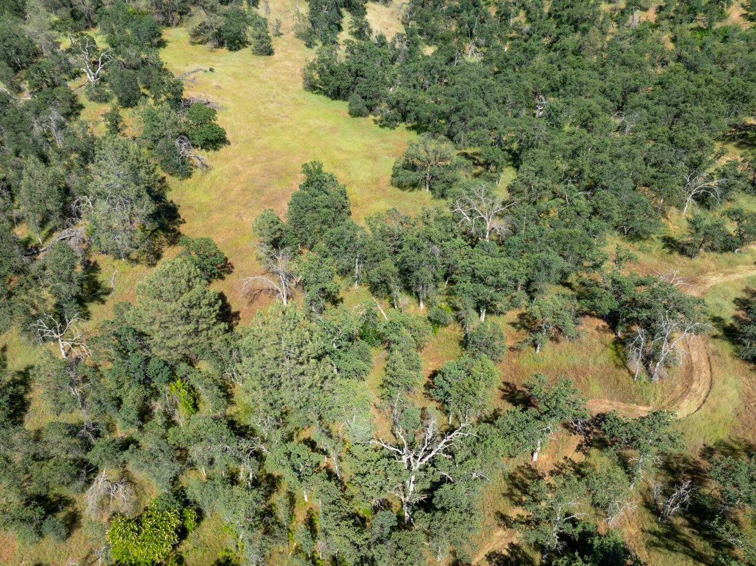 80 City View, Coarsegold, CA 93614