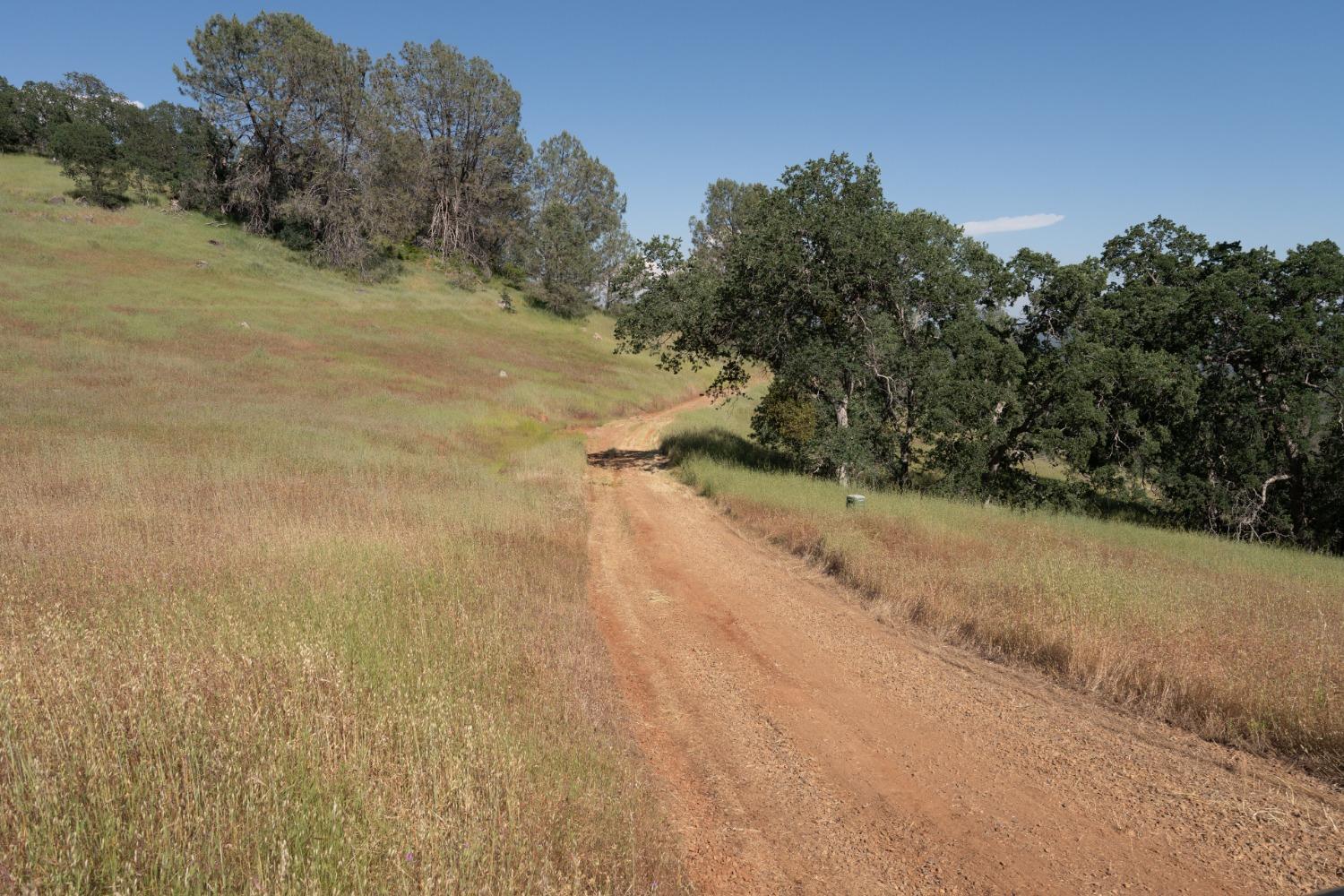 80 City View, Coarsegold, CA 93614