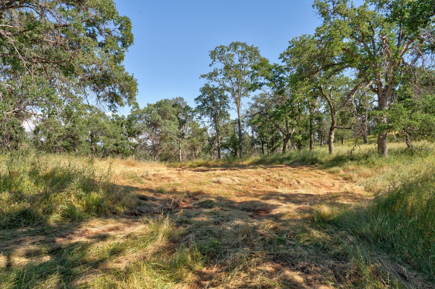 80 City View, Coarsegold, CA 93614