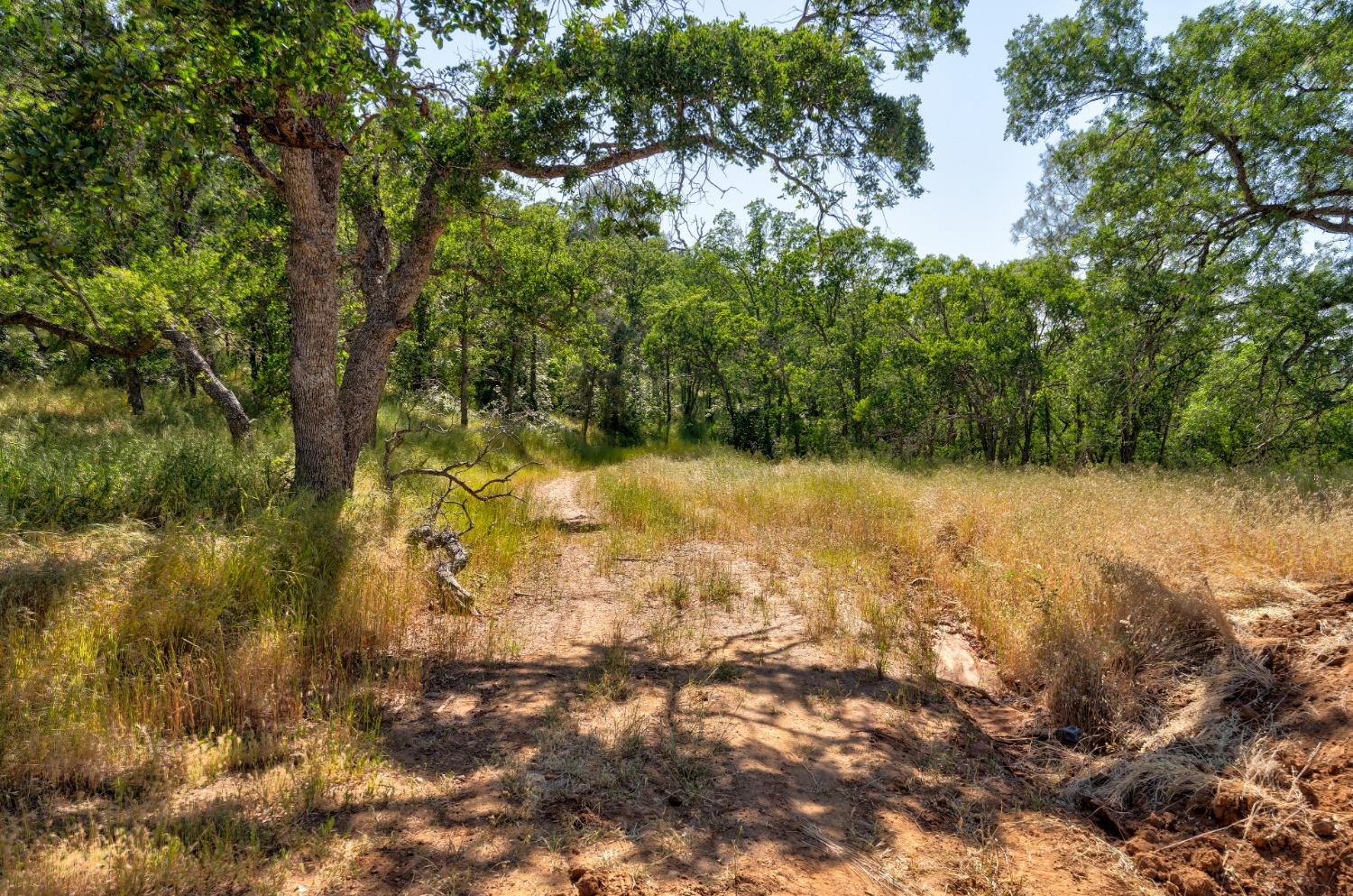 80 City View, Coarsegold, CA 93614