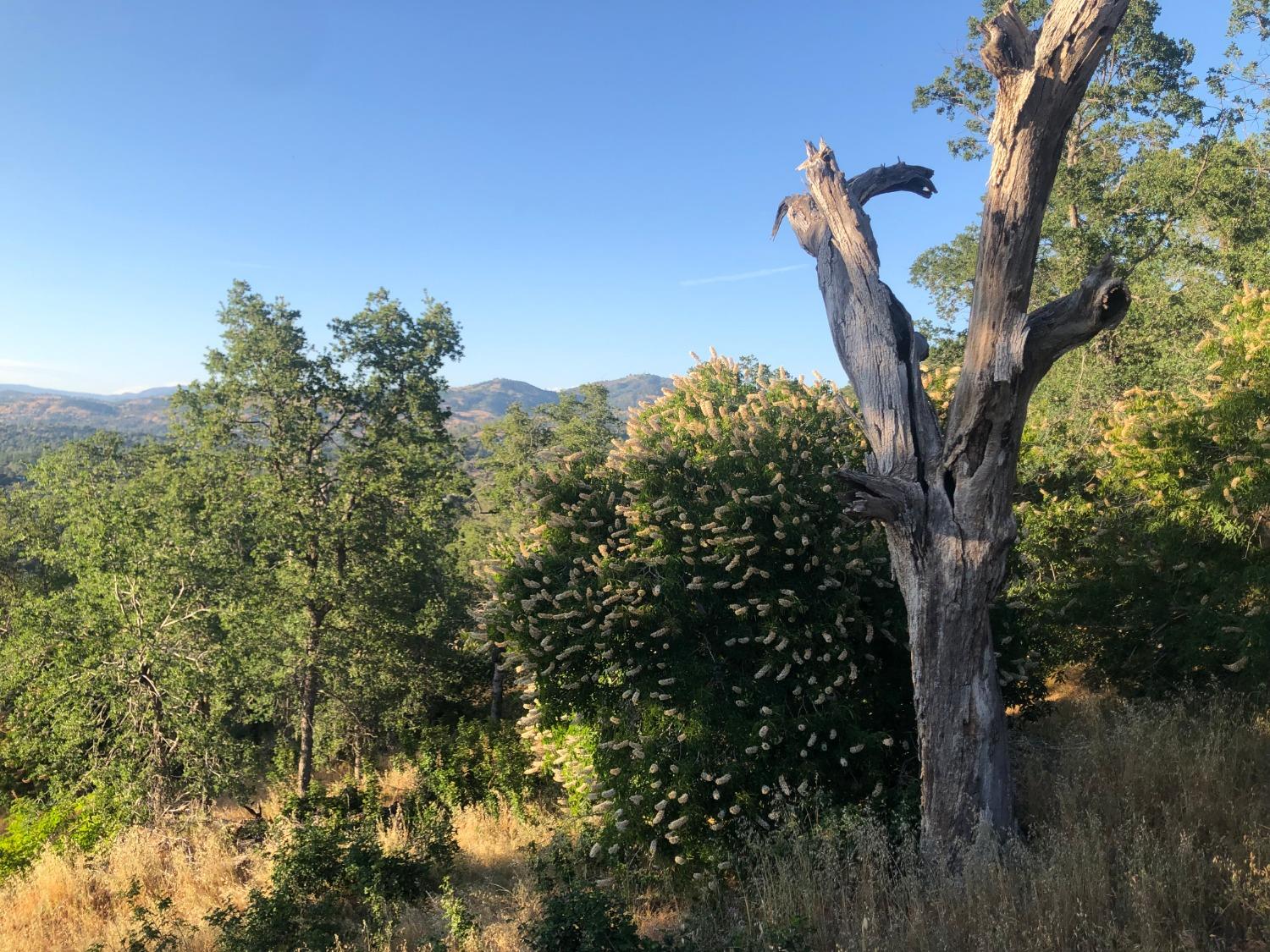 80 City View, Coarsegold, CA 93614