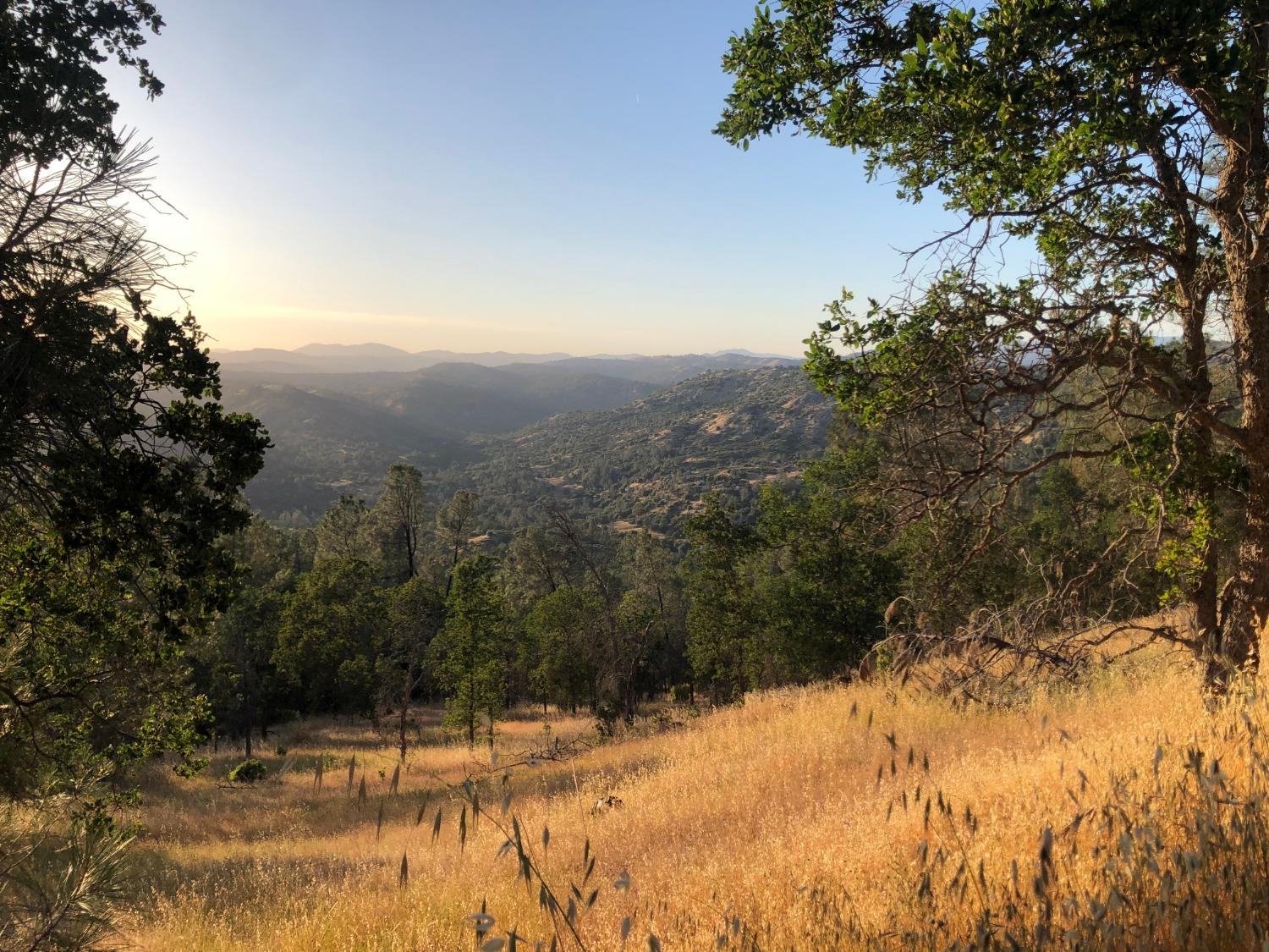 80 City View, Coarsegold, CA 93614