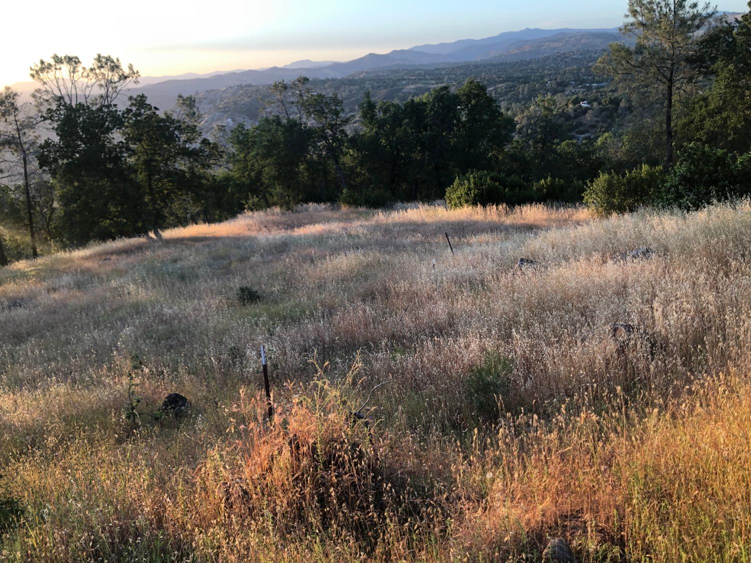 80 City View, Coarsegold, CA 93614