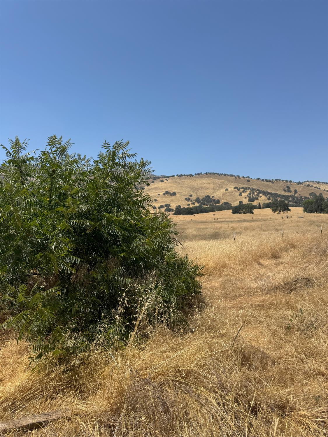 30518 George Smith Rd, Yokuts Valley, CA 93675
