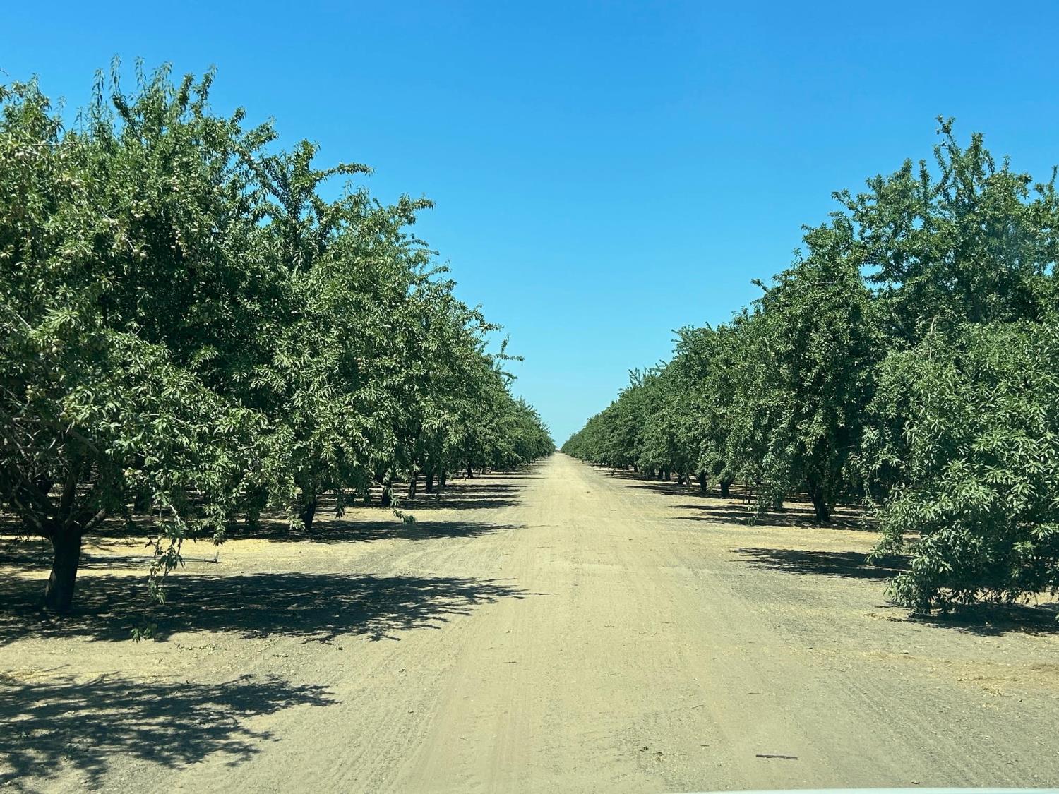 19338 Road 18, Madera, CA 93637