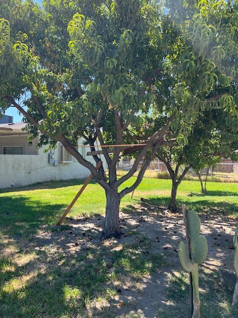 1702 Chittenden Ave, Corcoran, CA 93212