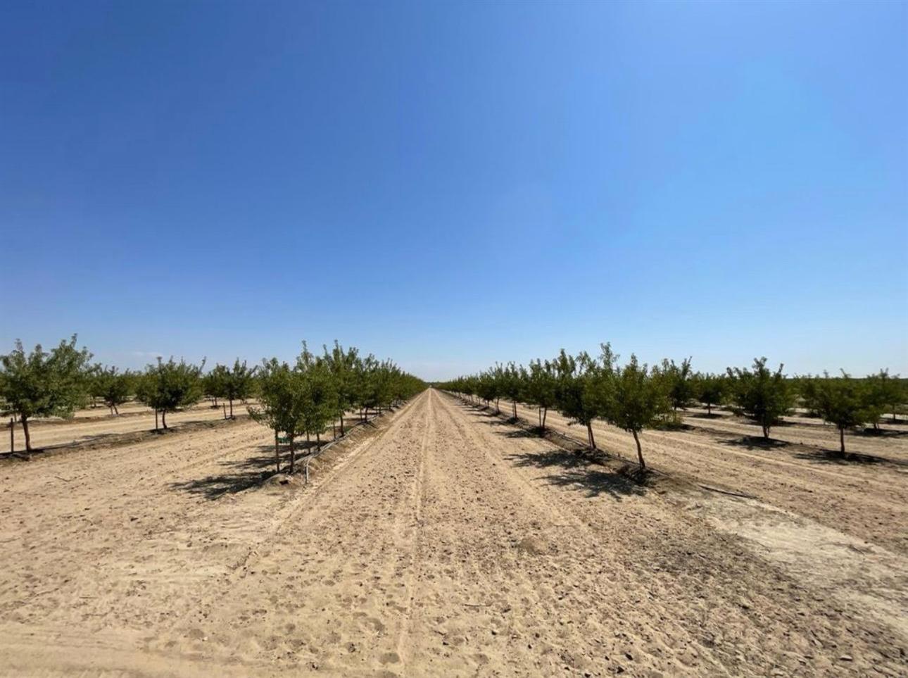 12420 S Chestnut Ave, Fresno, CA 93725