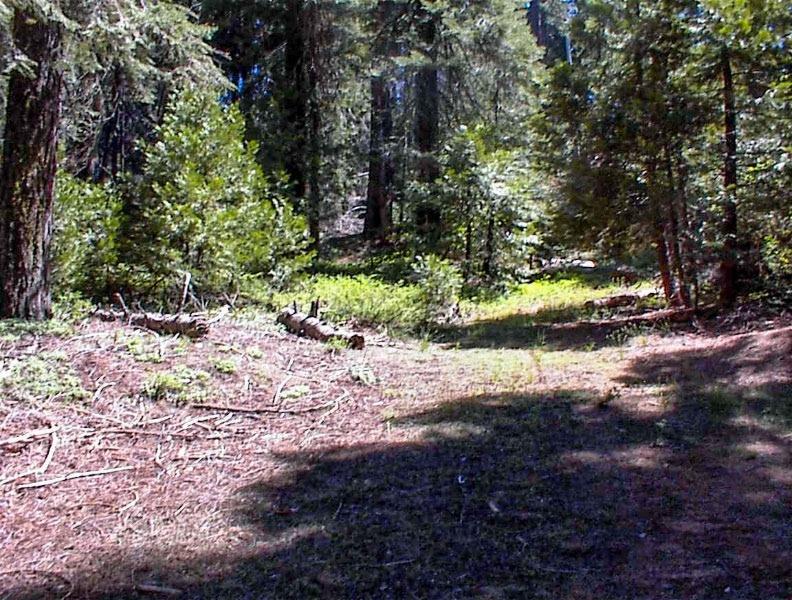 50248 Hwy 180, Miramonte, CA 93641