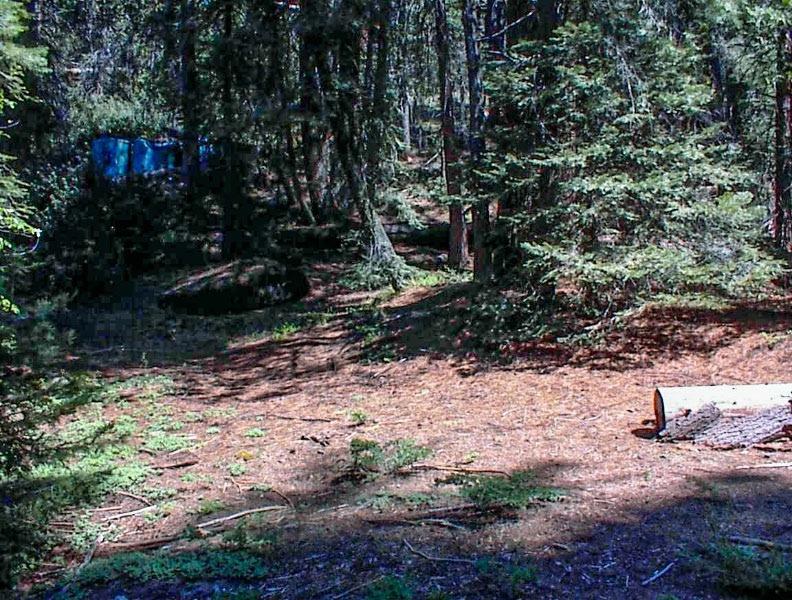 50248 Hwy 180, Miramonte, CA 93641