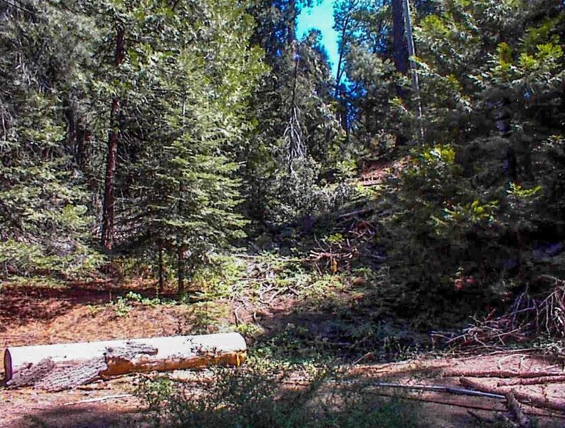 50248 Hwy 180, Miramonte, CA 93641